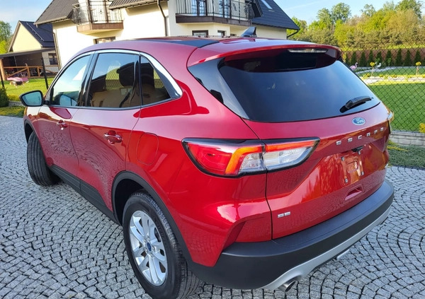 Ford Kuga cena 81900 przebieg: 26000, rok produkcji 2021 z Tarnów małe 436